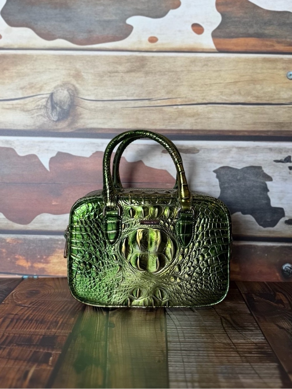 Firm ~~ 2x eyes Brahmin Mara Cacti Green Metallic Beauty NWT - Picture 4 of 16